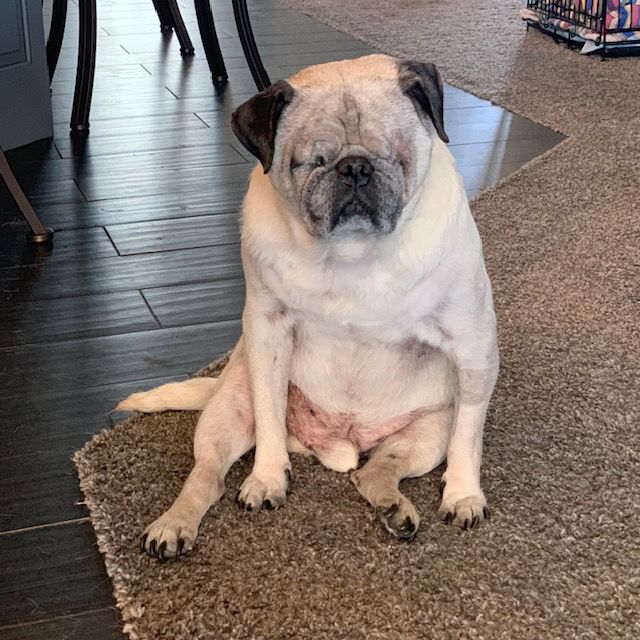 Nugget - Erin Martinez.jpg